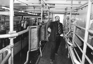 P3.JPG (24339 BYTES)