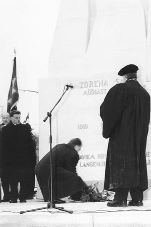 C11.JPG (35163 BYTES)