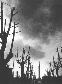 MIH1.JPG (34232 BYTES)