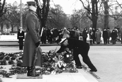 A2.JPG (25483 BYTES)