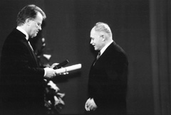 33.JPG (11961 BYTES)