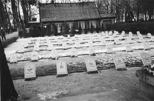 X4.JPG (36344 BYTES)