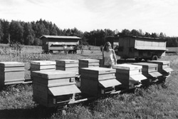 B1.JPG (23375 BYTES)