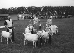 K1.JPG (24067 BYTES)