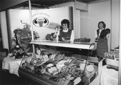 I1.JPG (24503 BYTES)