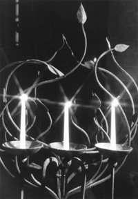 SVECES.JPG (24489 BYTES)