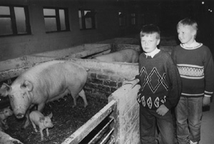 G1.JPG (27209 BYTES)