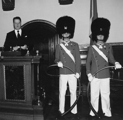 D21.JPG (28104 BYTES)