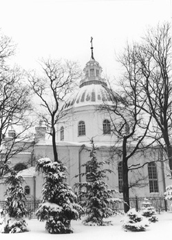 SP7.JPG (50357 BYTES)