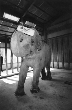 16.JPG (33660 BYTES)