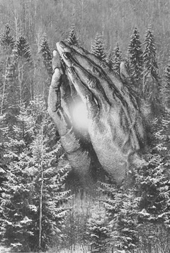 APS1.JPG (54668 BYTES)