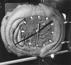 PI6.JPG (29356 BYTES)