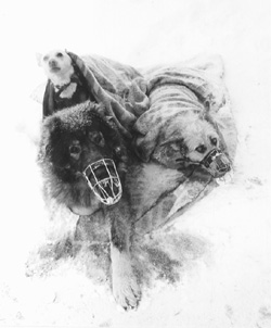 VI2.JPG (24683 BYTES)