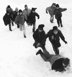 VI3.JPG (25869 BYTES)