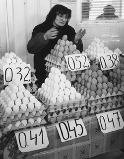 VI4.JPG (39949 BYTES)