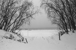 V3.JPG (23414 BYTES)