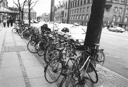 E3.JPG (28950 BYTES)