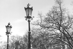 08.JPG (25705 BYTES)