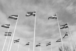 M4.JPG (14685 BYTES)