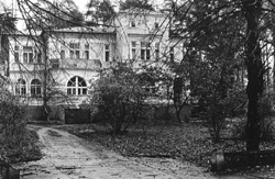 BIL2.JPG (29530 BYTES)