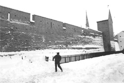 SIENA.JPG (18972 BYTES)