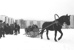 ZIRGS.JPG (13816 BYTES)