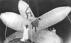 TE6.JPG (18953 BYTES)