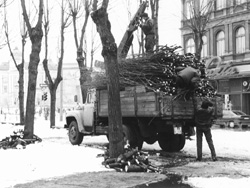 M1.JPG (28819 BYTES)