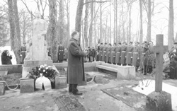 V6.JPG (22990 BYTES)