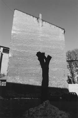 M2.JPG (31814 BYTES)