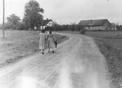 CELS.JPG (18044 BYTES)