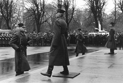 P11.JPG (25744 BYTES)