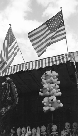 VI1.JPG (39116 BYTES)