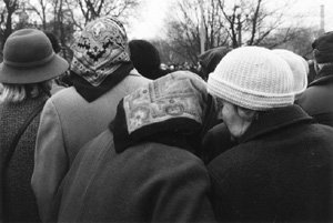 VI2.JPG (27179 BYTES)