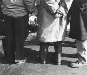 VI6.JPG (34621 BYTES)