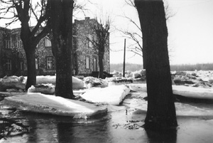 P1.JPG (29831 BYTES)