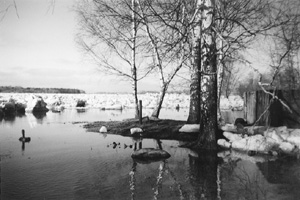 P3.JPG (31435 BYTES)