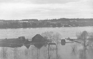 P6.JPG (19248 BYTES)