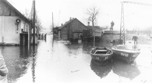 P7.JPG (19935 BYTES)