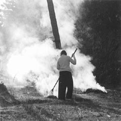 VI2.JPG (15662 BYTES)