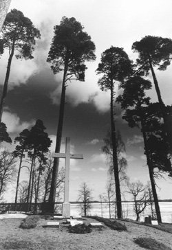 A3.JPG (44620 BYTES)