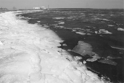 VI2.JPG (17293 BYTES)