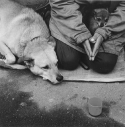 VI3.JPG (30540 BYTES)