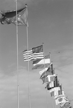 VI2.JPG (23757 BYTES)