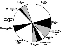 X1.JPG (14670 BYTES)