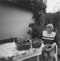 EL2.JPG (21308 BYTES)