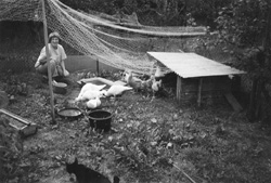 EL4.JPG (26337 BYTES)