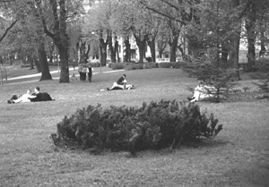 M3.JPG (35663 BYTES)