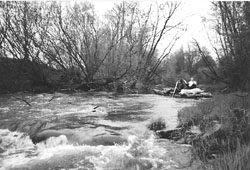 A5.JPG (21947 BYTES)