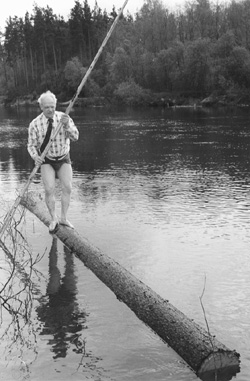 P5.JPG (44702 BYTES)